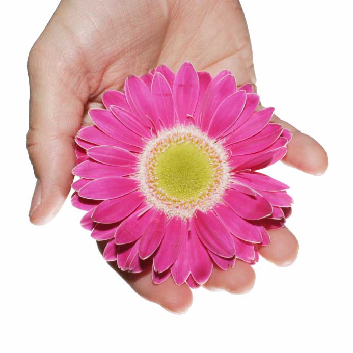 iStockflower2-optimized.jpg